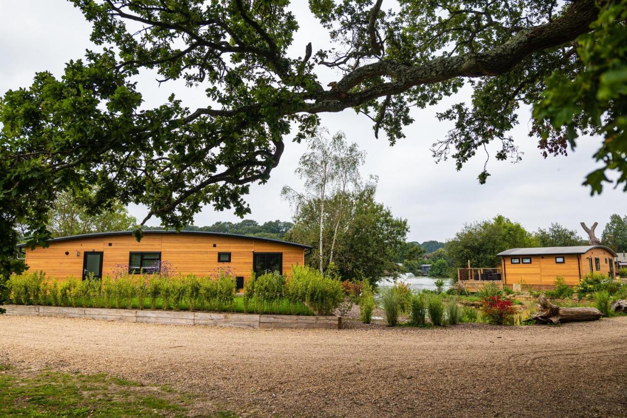 Sumners Ponds Fishery & Campsite Hotel Horsham Ngoại thất bức ảnh